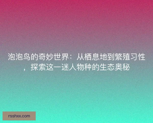 泡泡鸟的奇妙世界：从栖息地到繁殖习性，探索这一迷人物种的生态奥秘