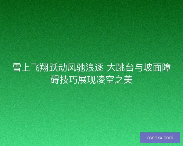 雪上飞翔跃动风驰浪逐 大跳台与坡面障碍技巧展现凌空之美